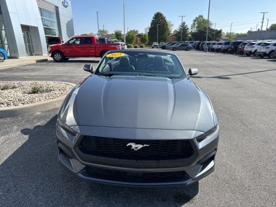 2025 Ford Mustang EcoBoost Premium